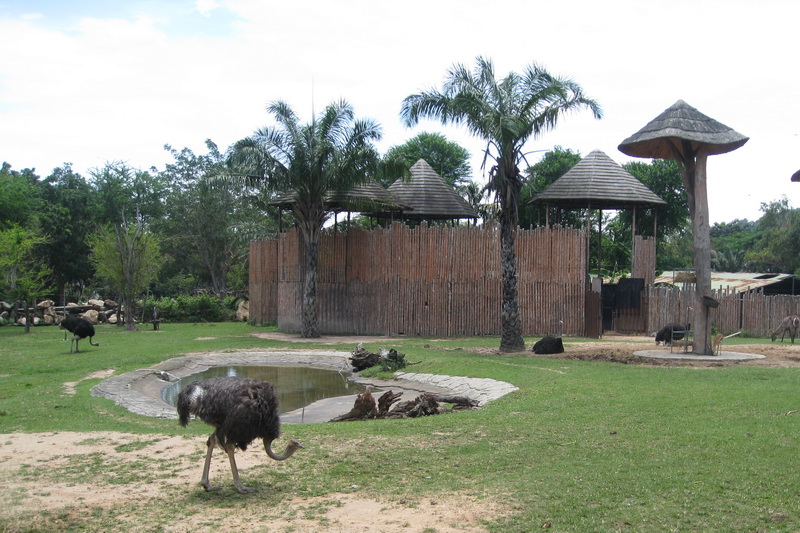 Thailand, Pattaya, Khao Kheow Open Zoo